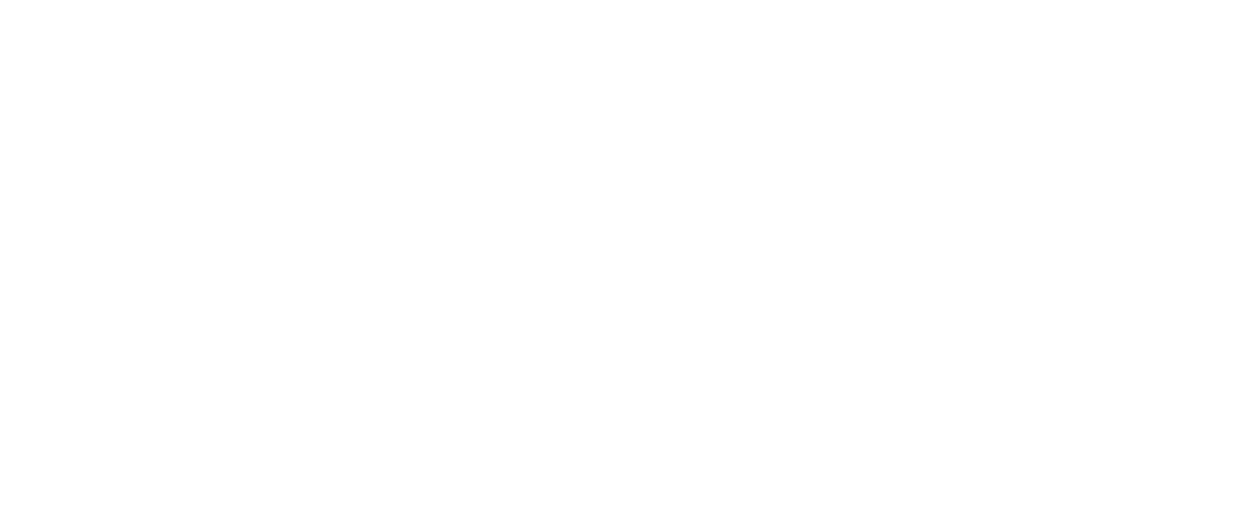 Grupo Bonini